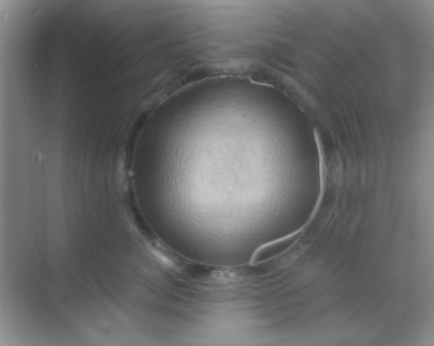 X0000068860764200605192017