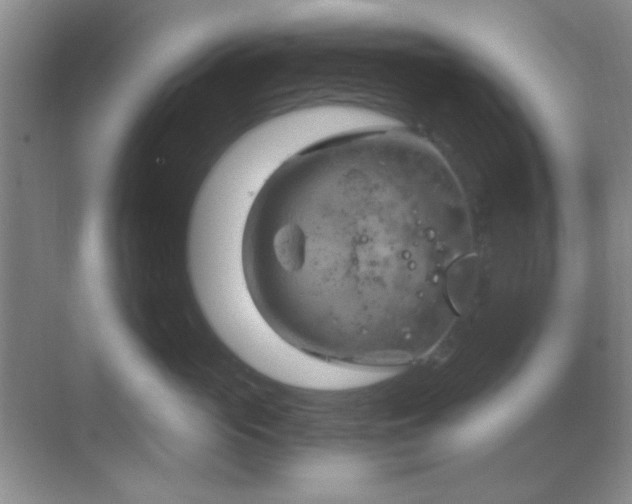 X0000068860765200605192017