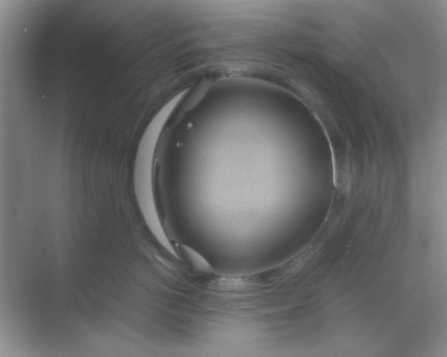 X0000068860766200605192017