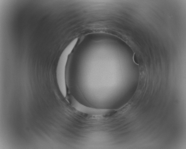 X0000068860767200605192017