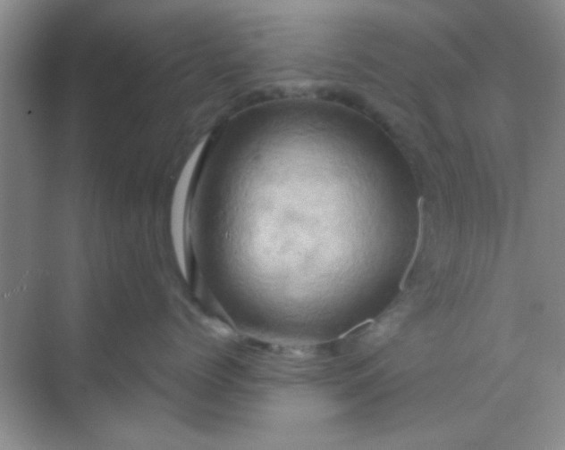 X0000068860768200605192017