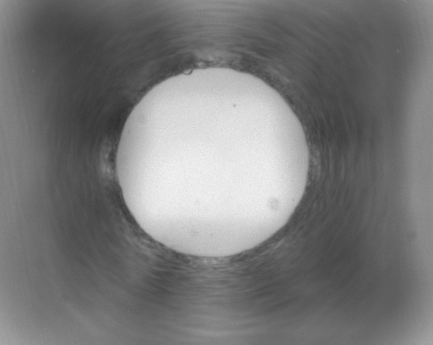 X0000068860770200605192016