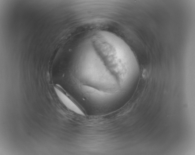 X0000068860771200605192016