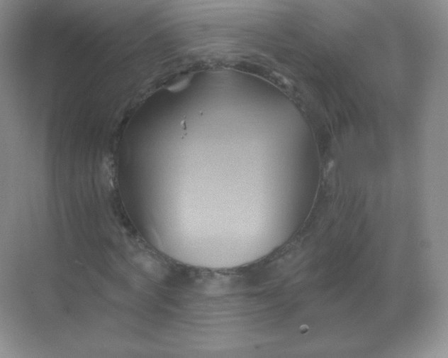 X0000068860772200605192016