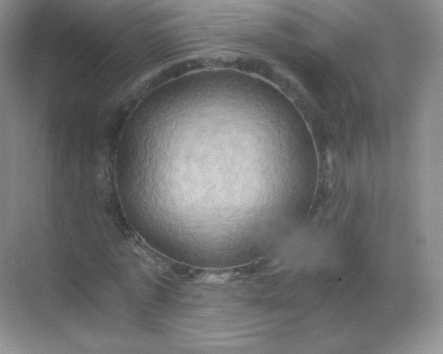 X0000068860773200605192016