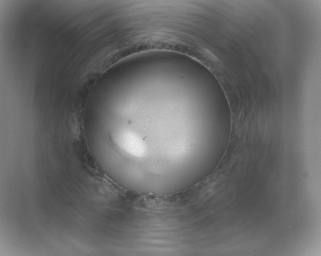 X0000068860774200605192016