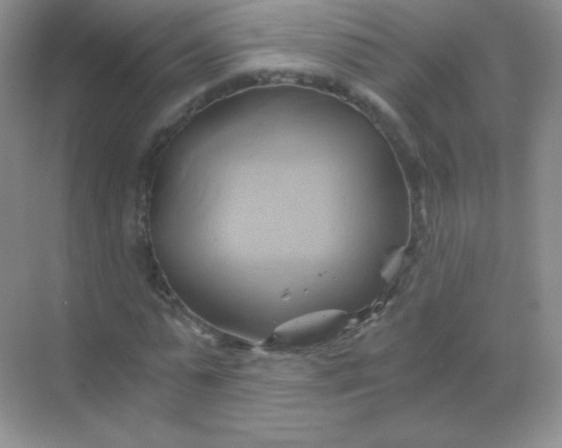 X0000068860775200605192016