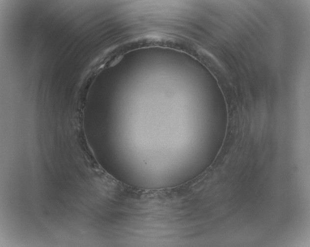 X0000068860776200605192016