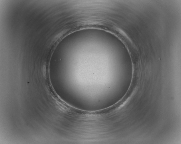 X0000068860777200605192016