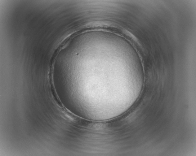 X0000068860778200605192016