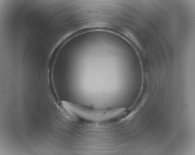 X0000068860781200605192016