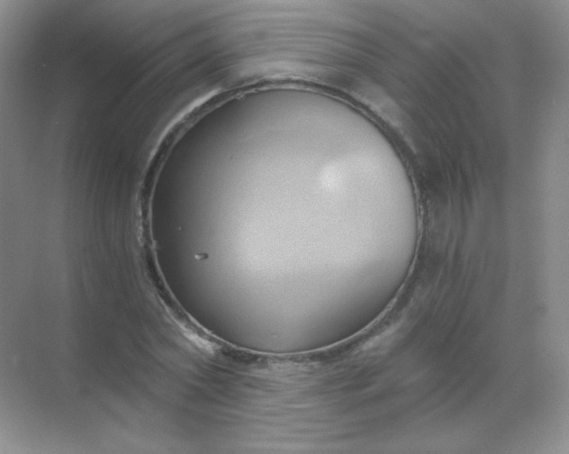 X0000068860782200605192016