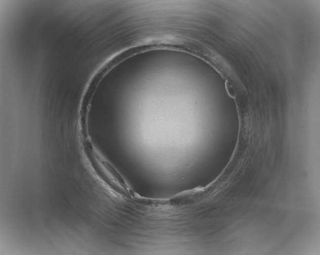 X0000068860784200605192016