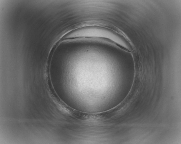 X0000068860786200605192016