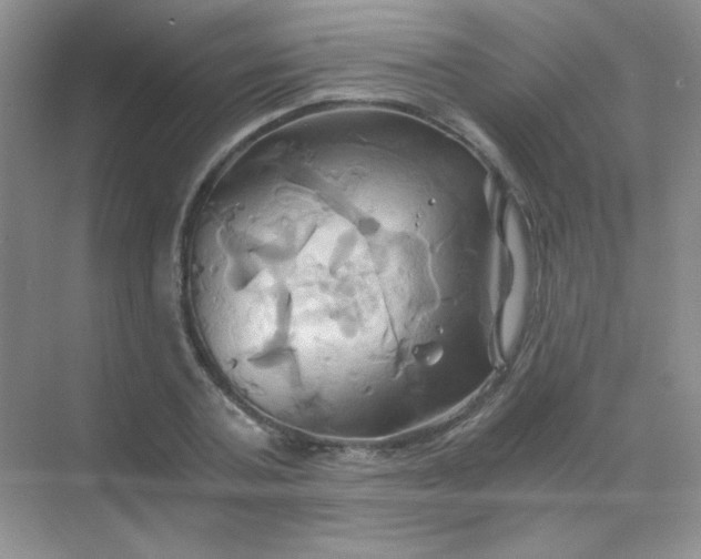 X0000068860787200605192016