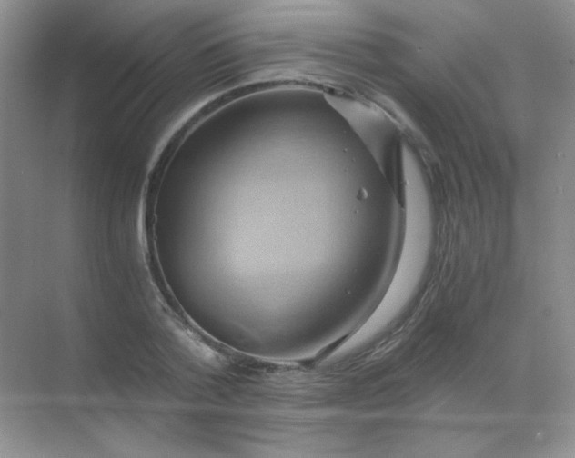 X0000068860788200605192016