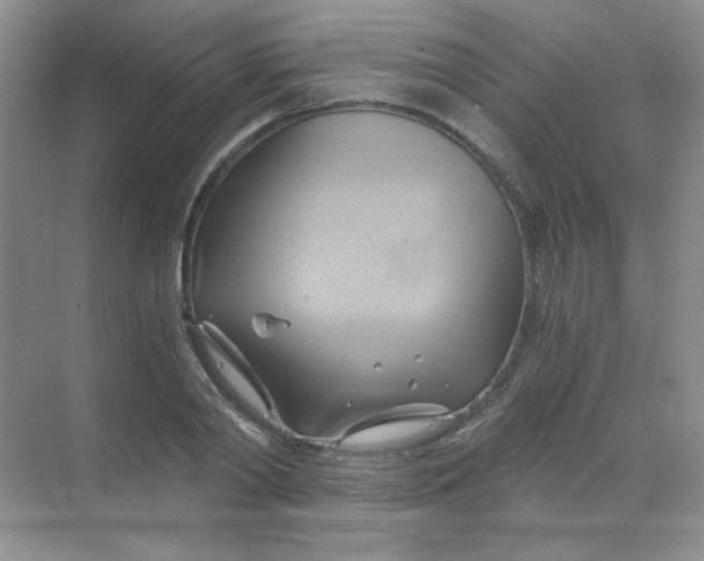 X0000068860790200605192016