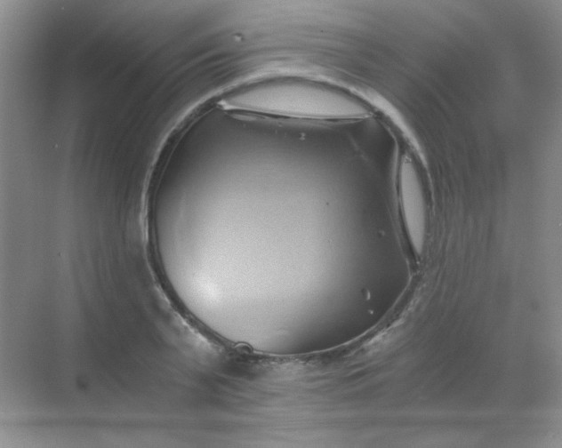 X0000068860791200605192016