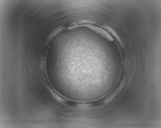 X0000068860793200605192016