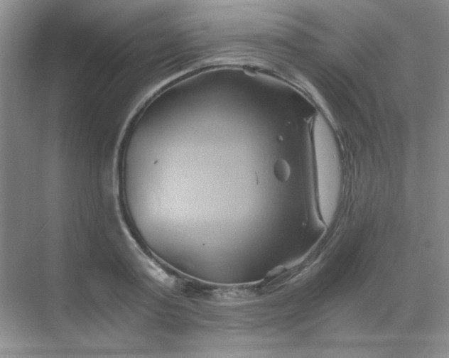 X0000068860795200605192016