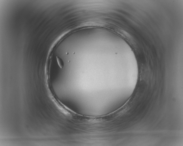 X0000068860796200605192016