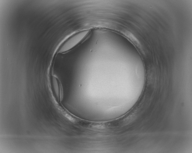 X0000068860798200605192016