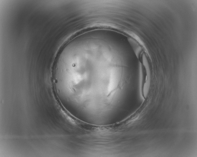 X0000068860799200605192016