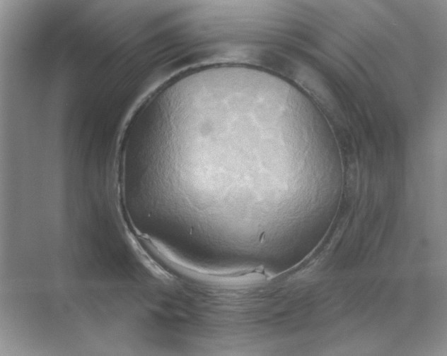 X0000068860800200605192016