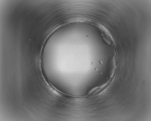 X0000068860802200605192016