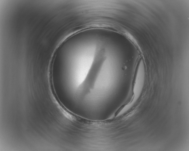 X0000068860803200605192016