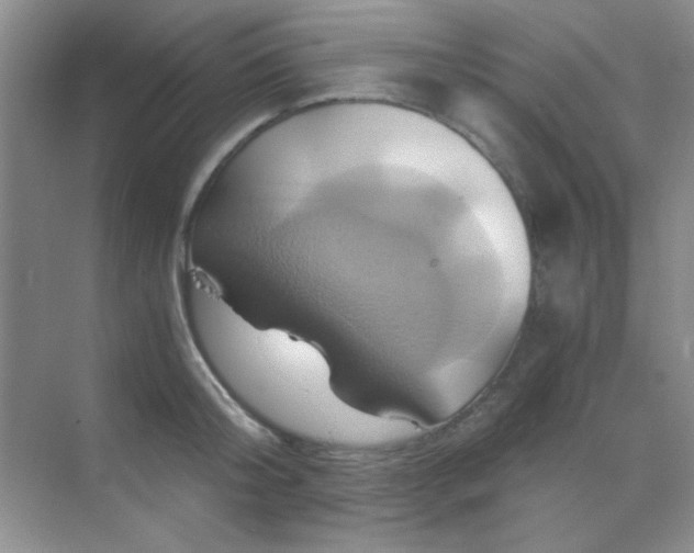 X0000068860804200605192016