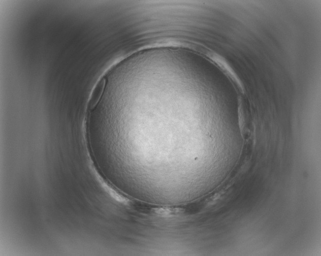 X0000068860805200605192016