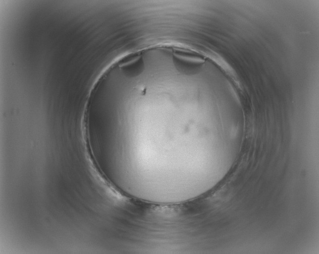 X0000068860806200605192016