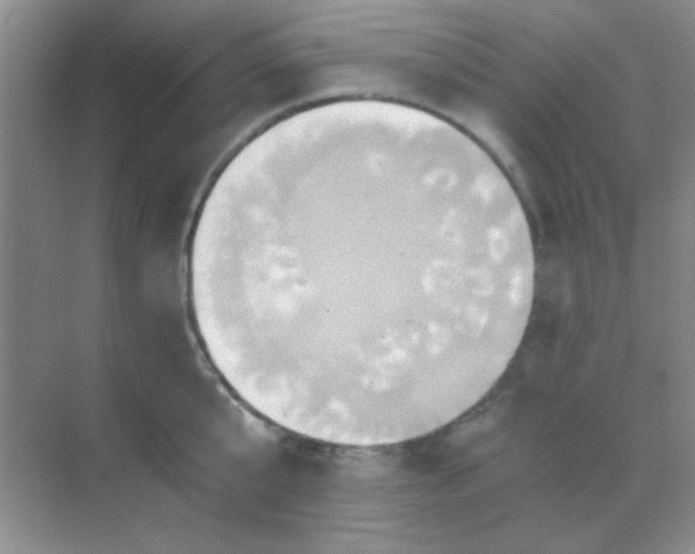 X0000068860807200605192016