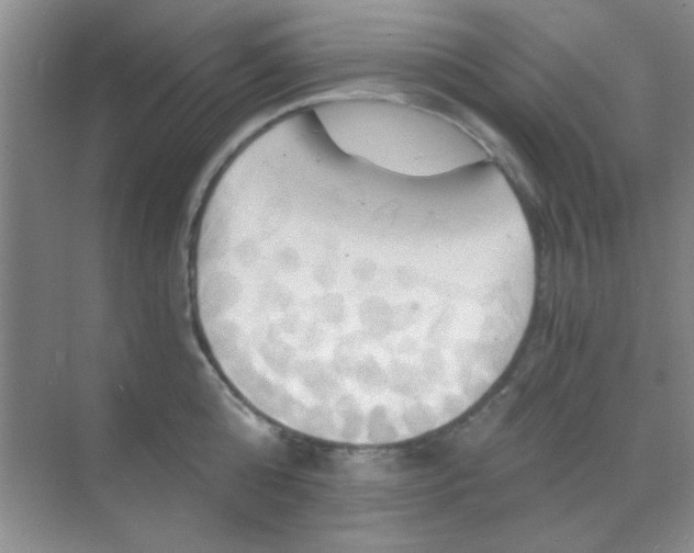 X0000068860808200605192016