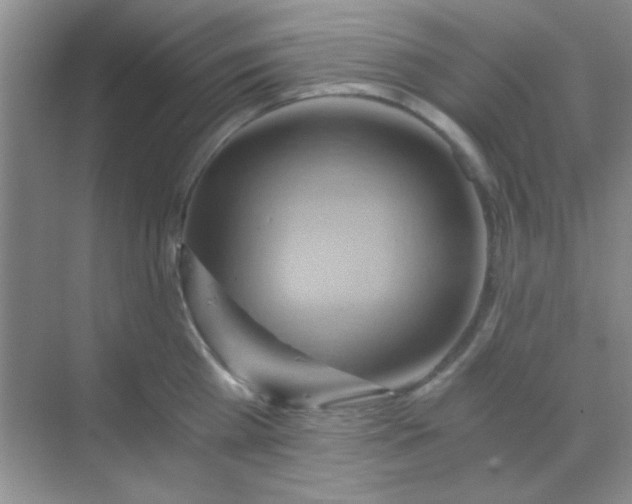 X0000068860809200605192016