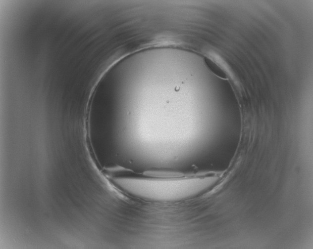 X0000068860810200605192016