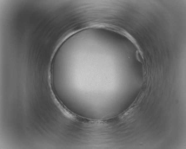 X0000068860811200605192016