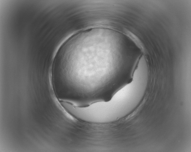 X0000068860812200605192015