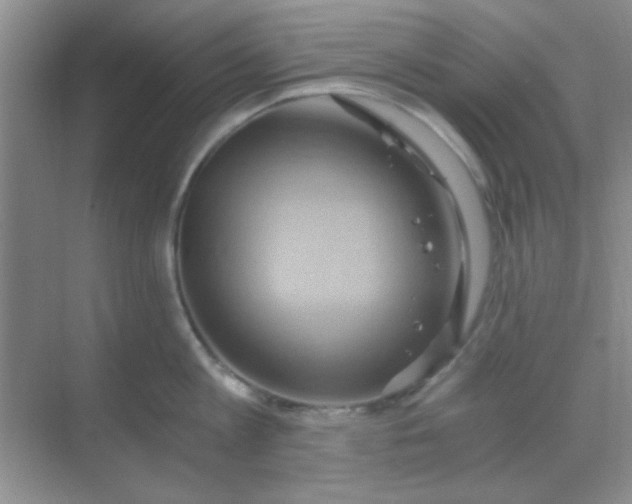 X0000068860813200605192015