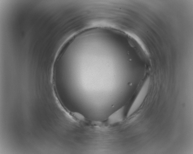 X0000068860815200605192015