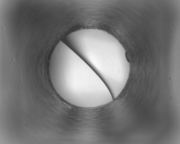 X0000068860817200605192015