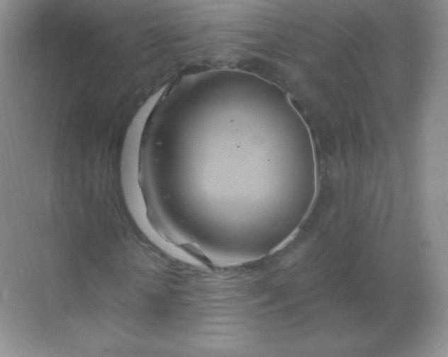 X0000068860818200605192015