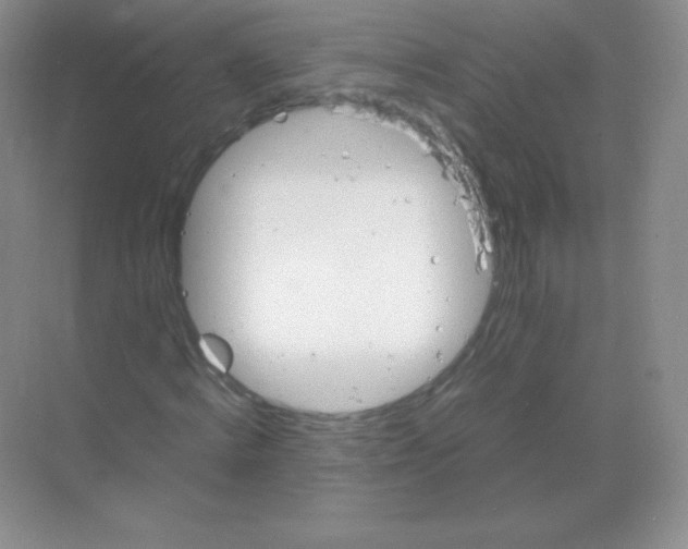 X0000068860820200605192015