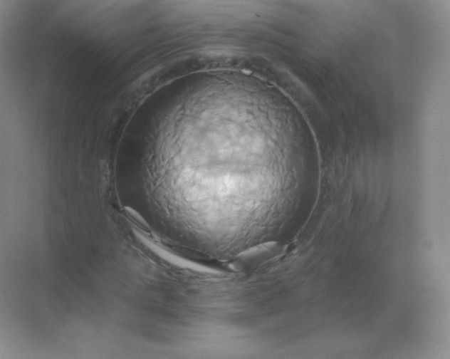 X0000068860821200605192015