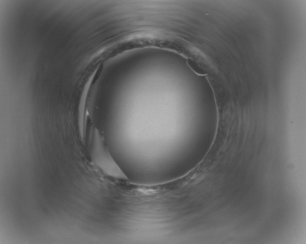 X0000068860822200605192015