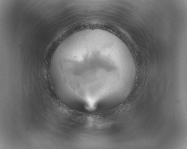 X0000068860823200605192015