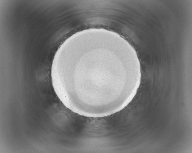 X0000068860824200605192015