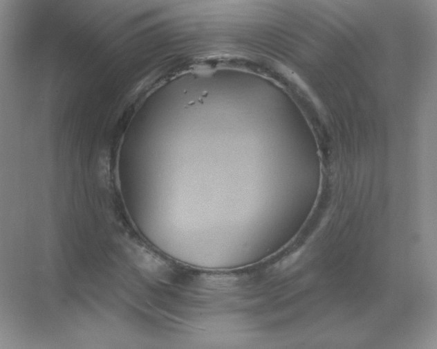 X0000068860825200605192015