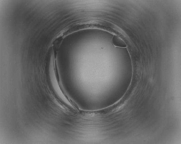 X0000068860826200605192015